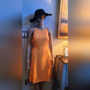 Ann Taylor Dress